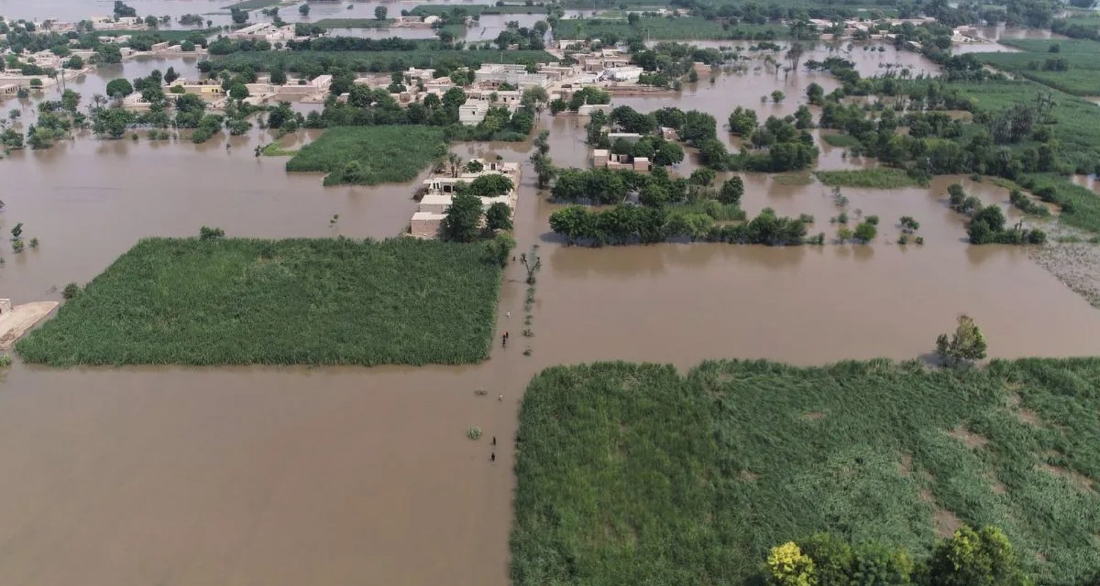 પાકિસ્તાનના પંજાબમાં પૂરથી ૫૦ લોકોના મોત, ૪૦ લાખ લોકો પ્રભાવિત