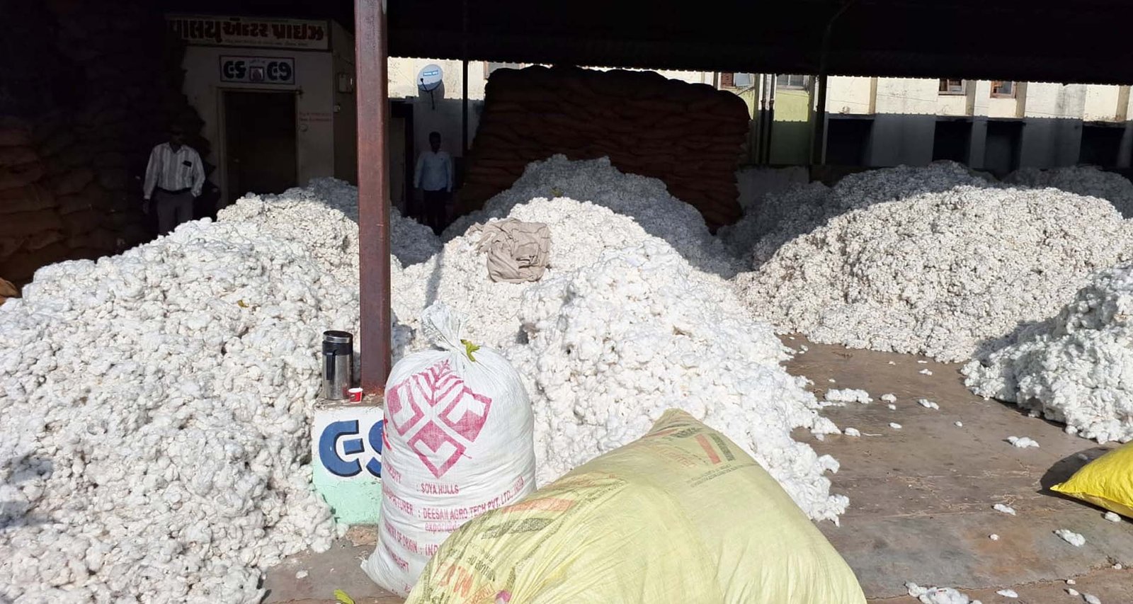 મહેસાણા પાટણ સહિત ઉત્તર ગુજરાતમાંથી કપાસ આવકોનો પ્રારંભ