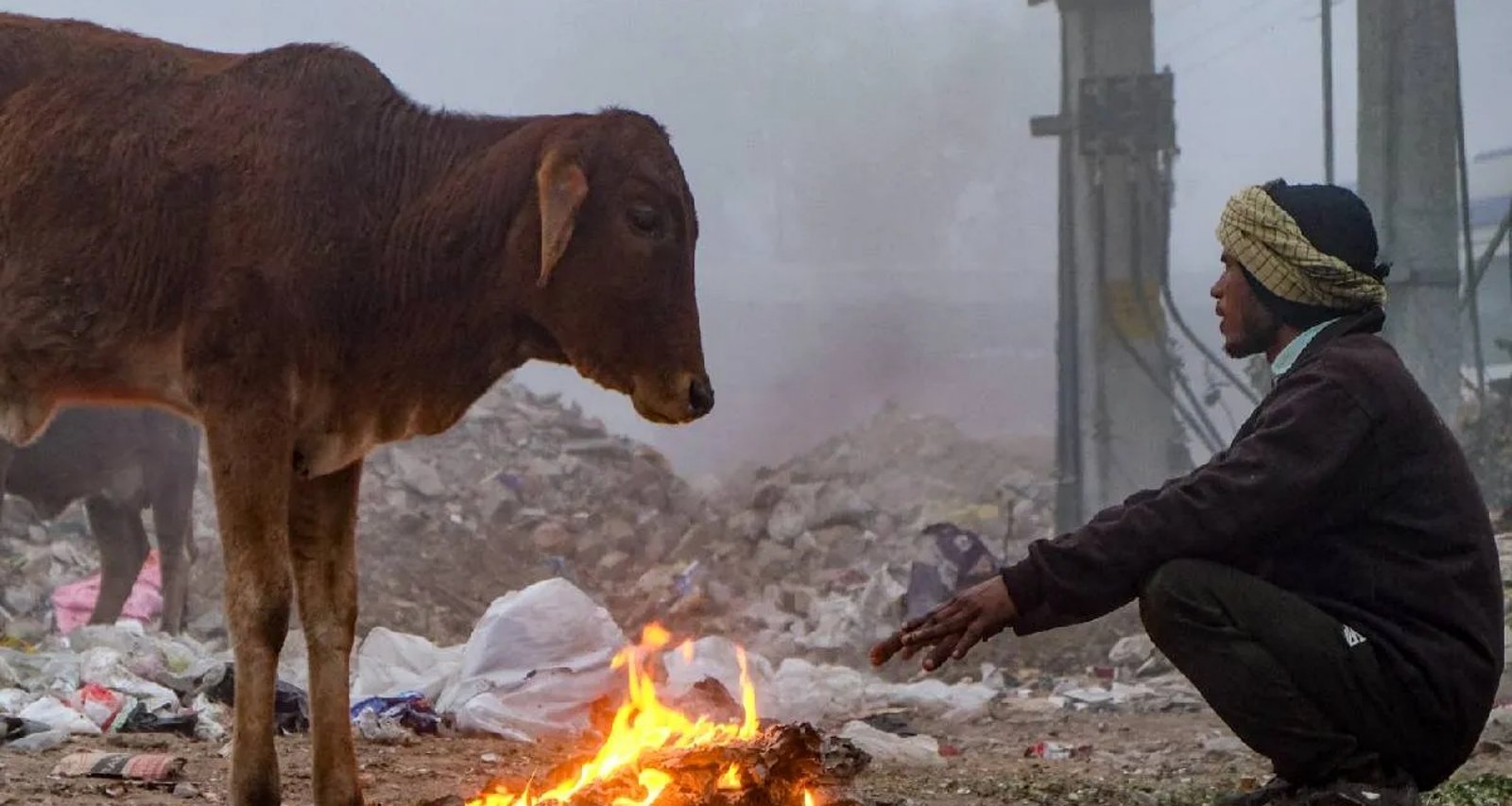 દિલ્હીમાં ઠંડીનો રેકોર્ડ તૂટ્યો, હરિયાણામાં તાપમાન 0.2 ડિગ્રી સેલ્સિયસ પહોંચ્યું, જાણો ક્યારે મળશે ઠંડીથી રાહત