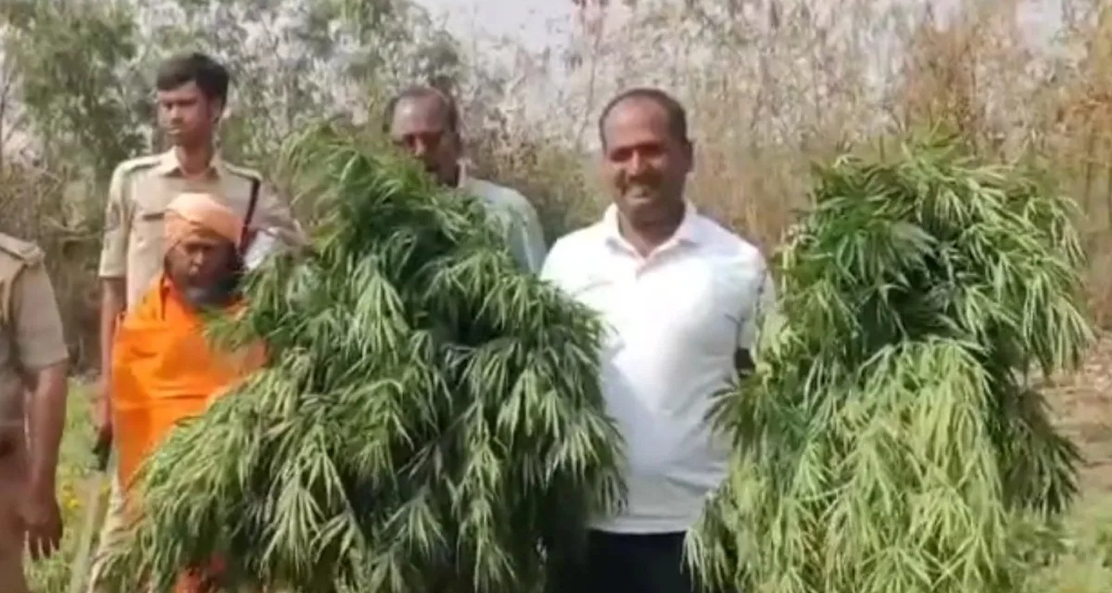 ગલગોટાની આડમાં 70 લાખનો ગાંજો ઝડપાયો