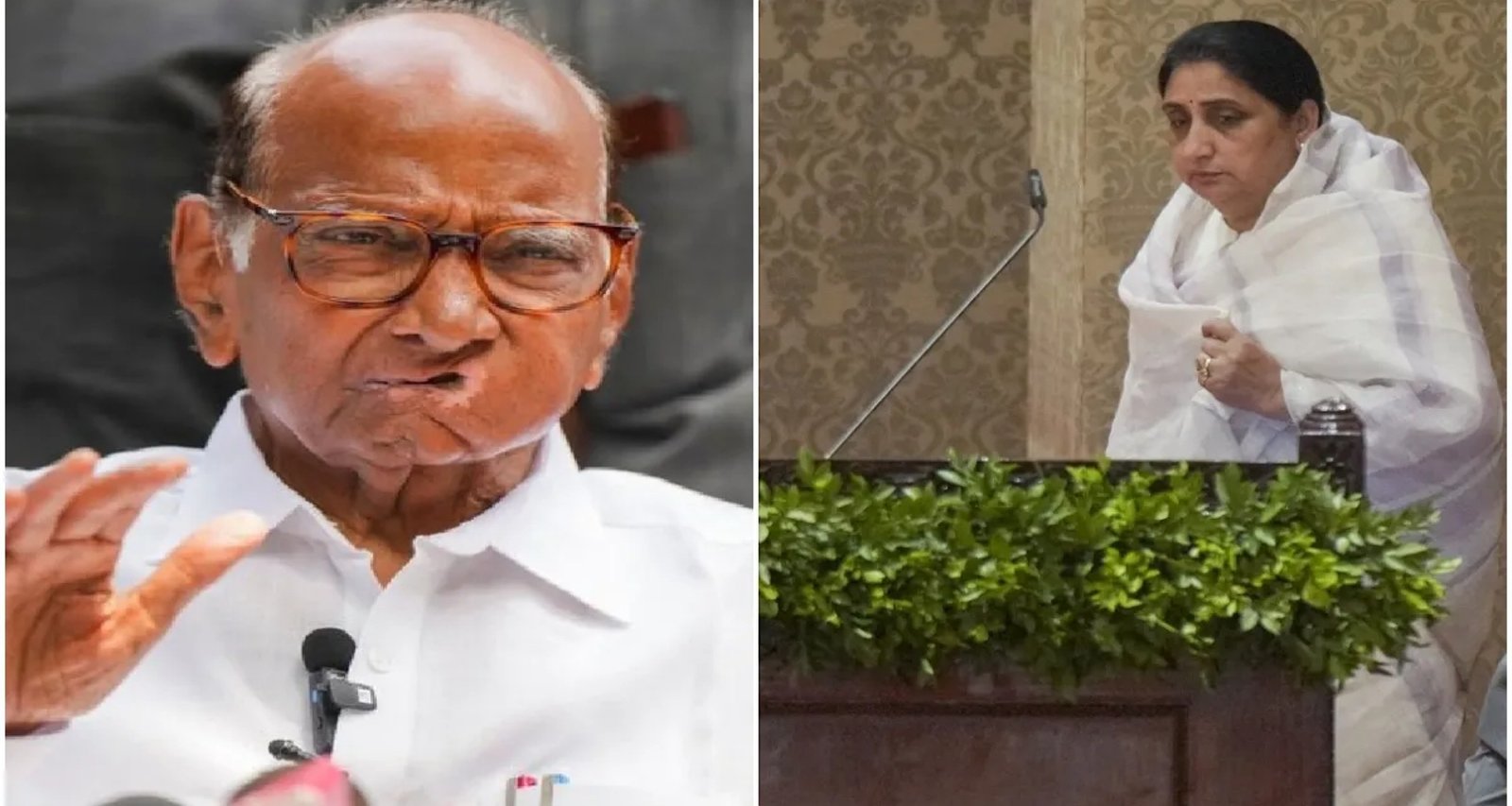 શરદ પવારને સુનેત્રાએ ડેપ્યુટી સીએમ પદના શપથ લીધા તેની ખબર નહોતી’, પાર્ટી નેતાનું ચોંકાવનારું નિવેદન