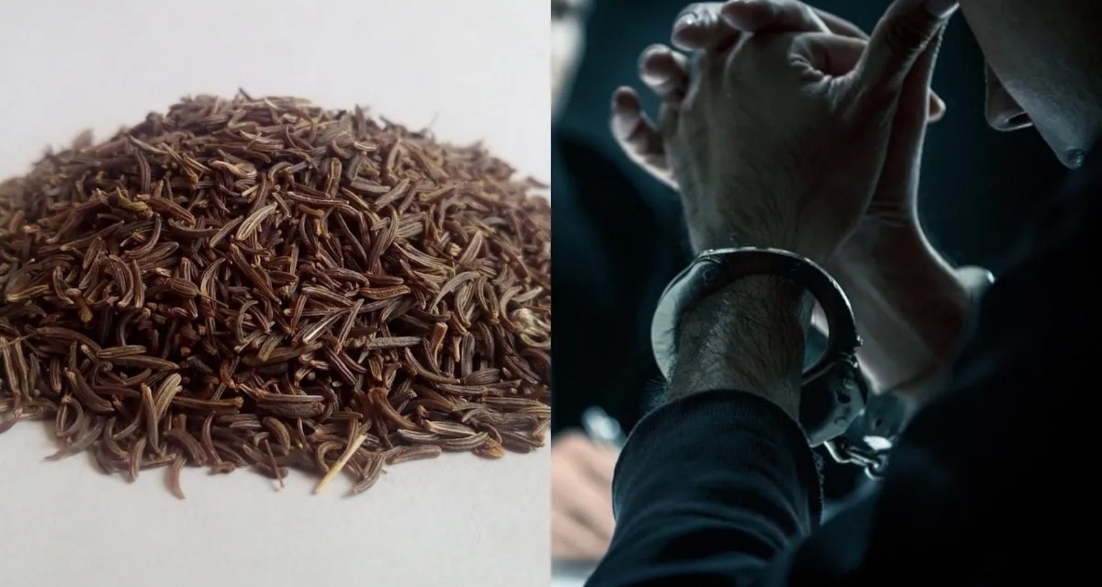 વકીલે 5 સાથીઓની મદદથી 3 કરોડ રૂપિયાનું જીરું ચોરીને 10 વખત ટ્રકમાં હેરાફેરી કરી